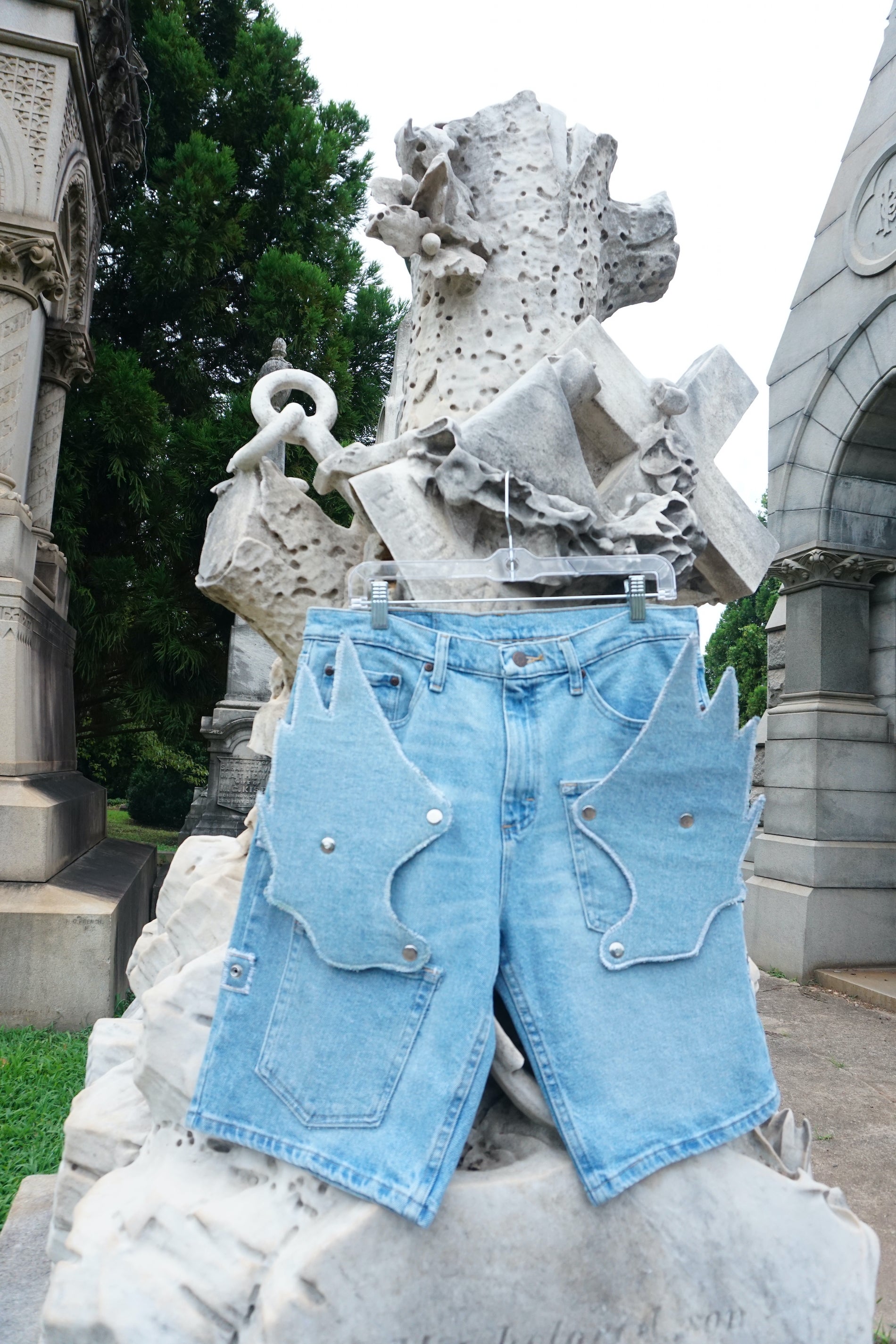 Blue wing shorts